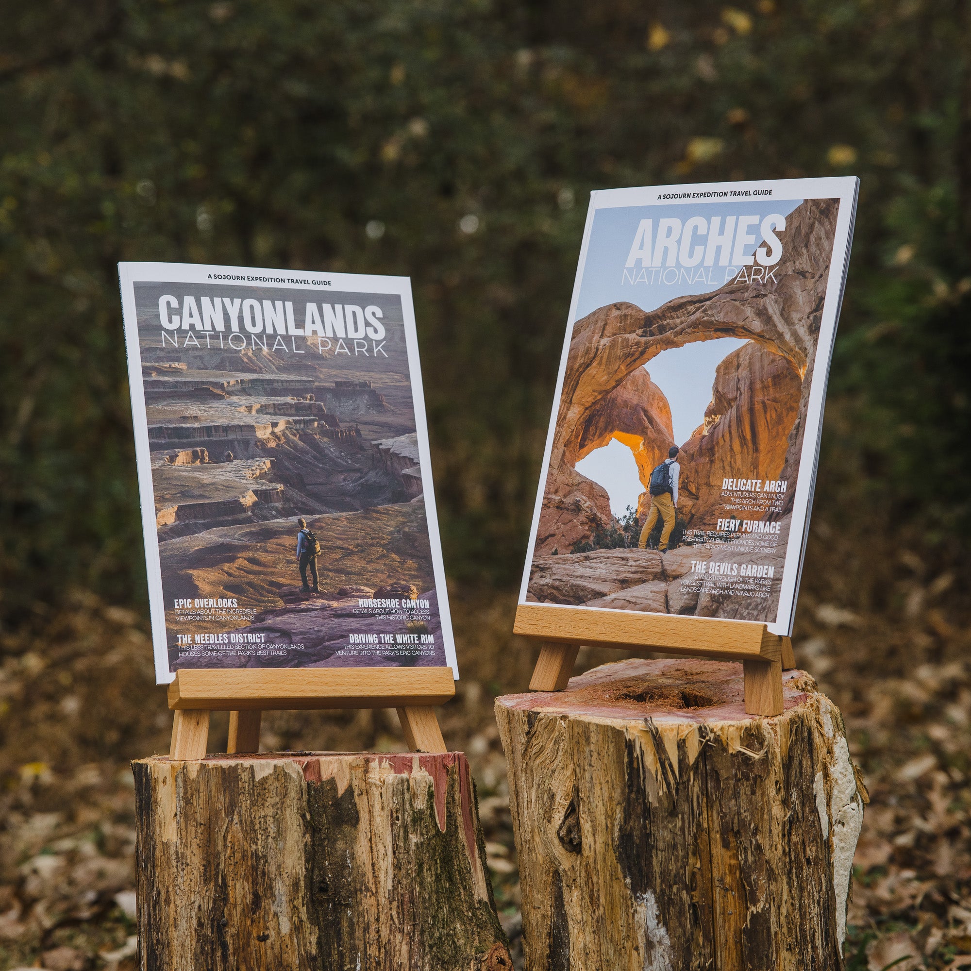 National Park Travel Guides on stands with natural background