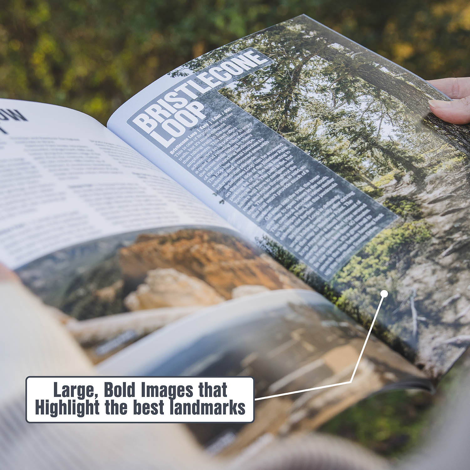 Bryce Canyon Travel Guide