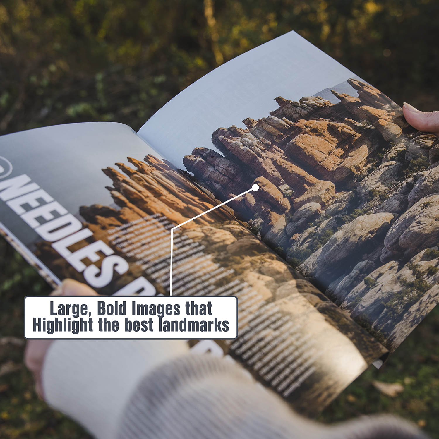 Canyonlands Travel Guide