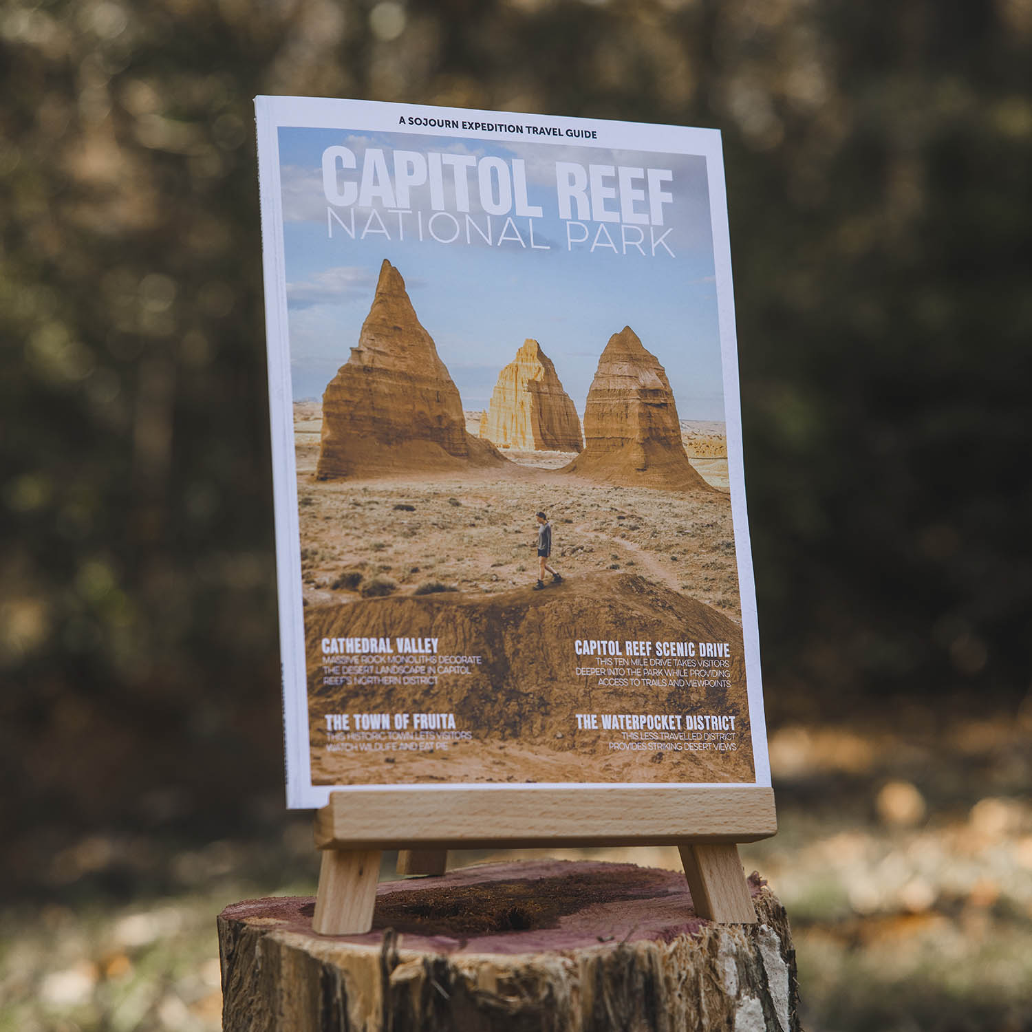 Capitol Reef National Park Travel Guide