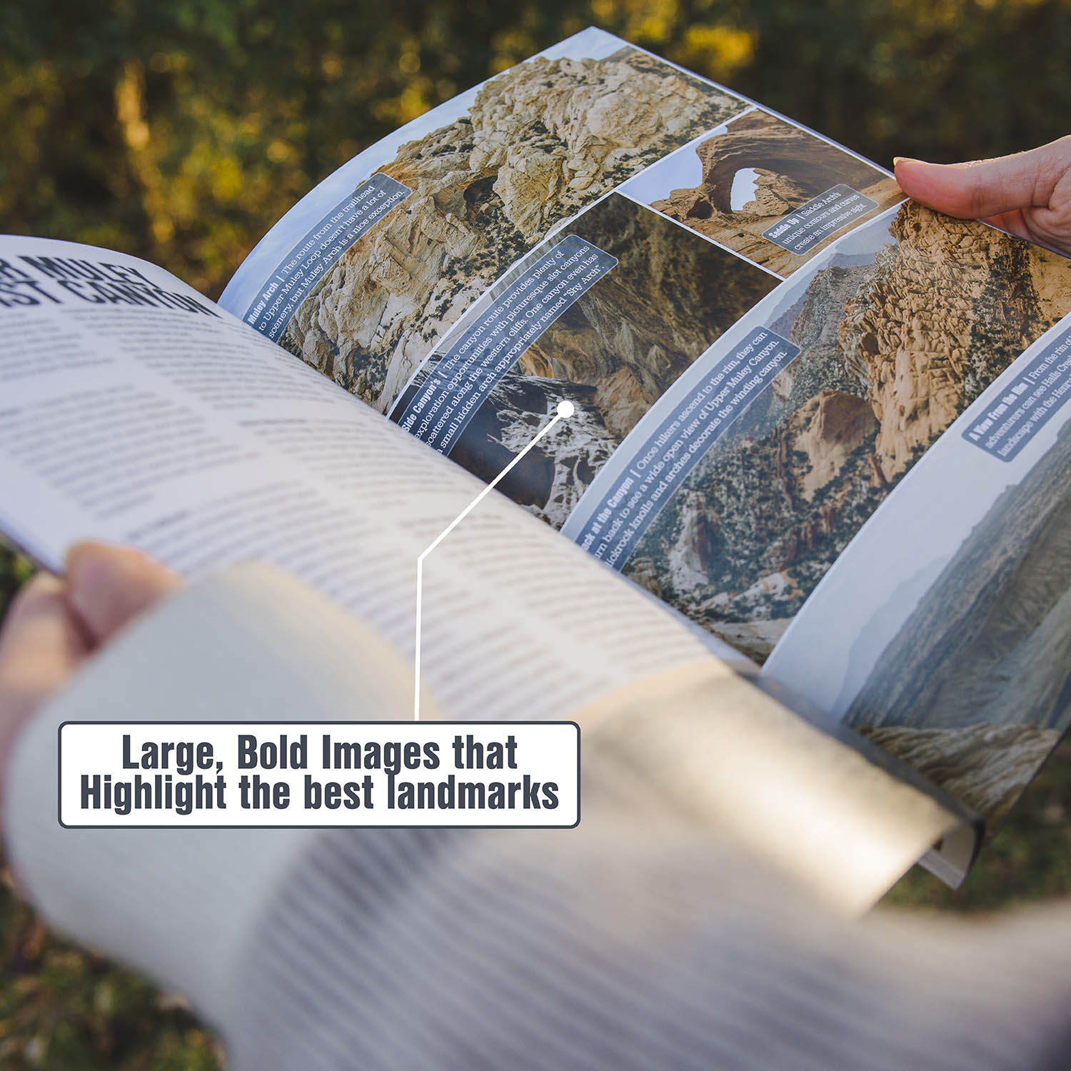 Capitol Reef National Park Travel Guide