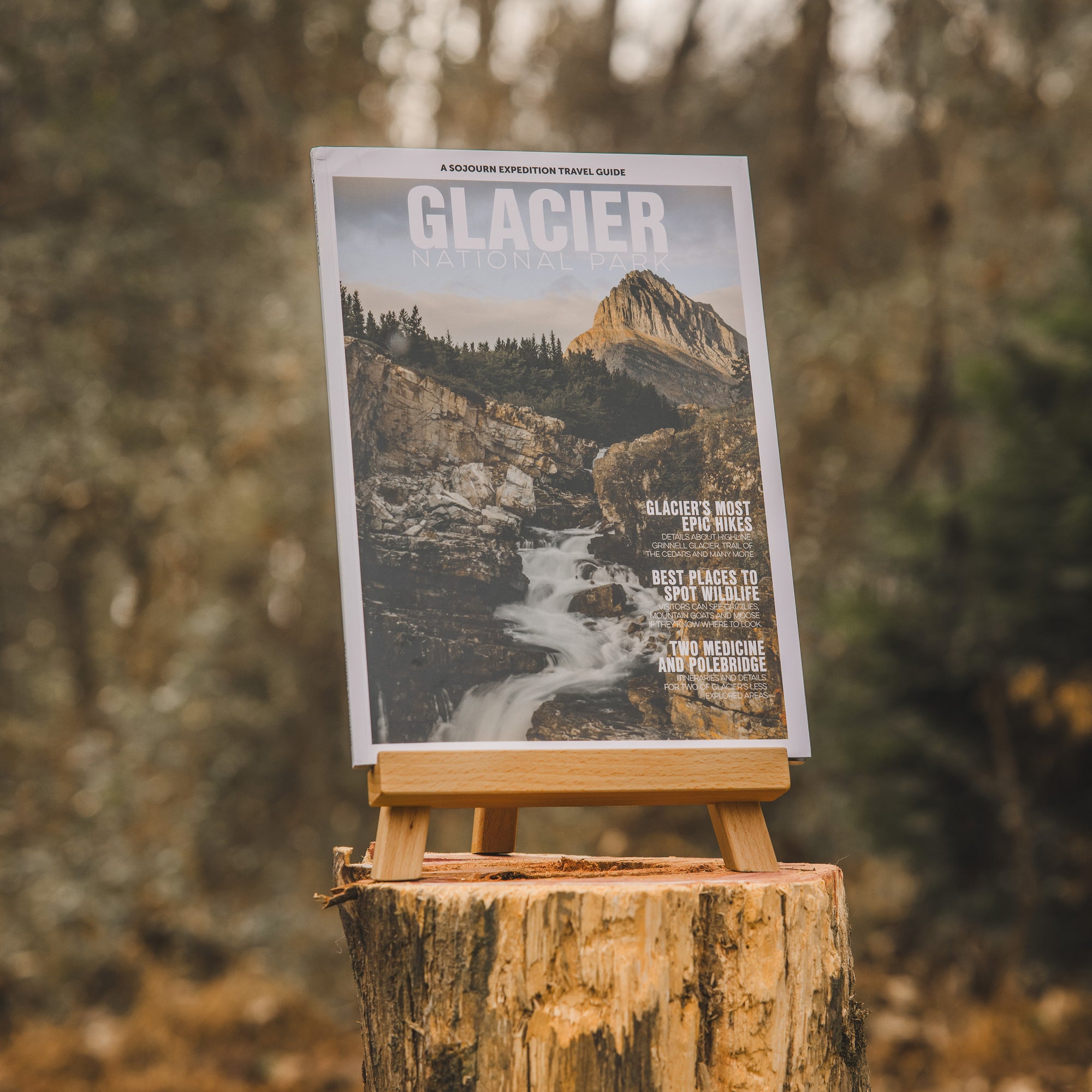 Glacier National Park Travel Guide
