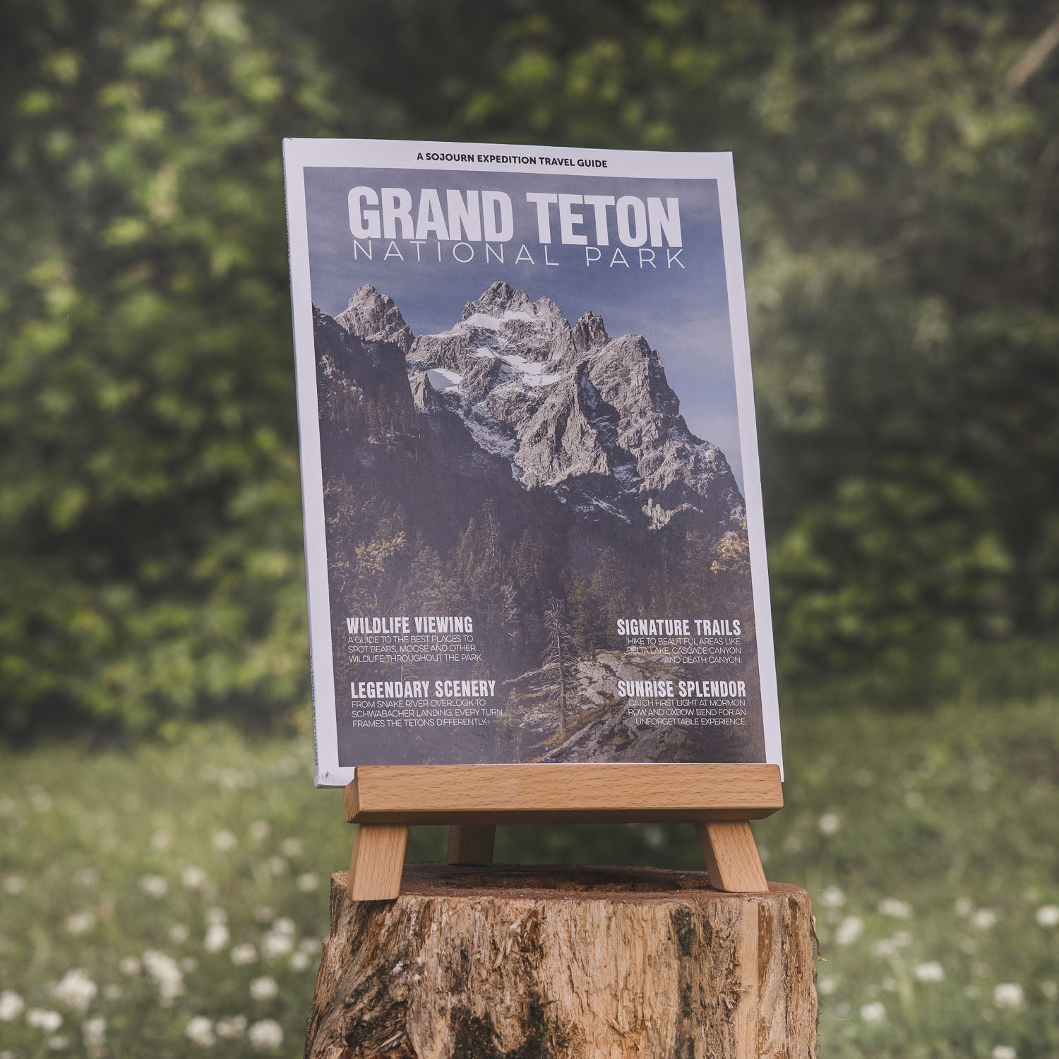 Grand Teton National Park Travel Guide