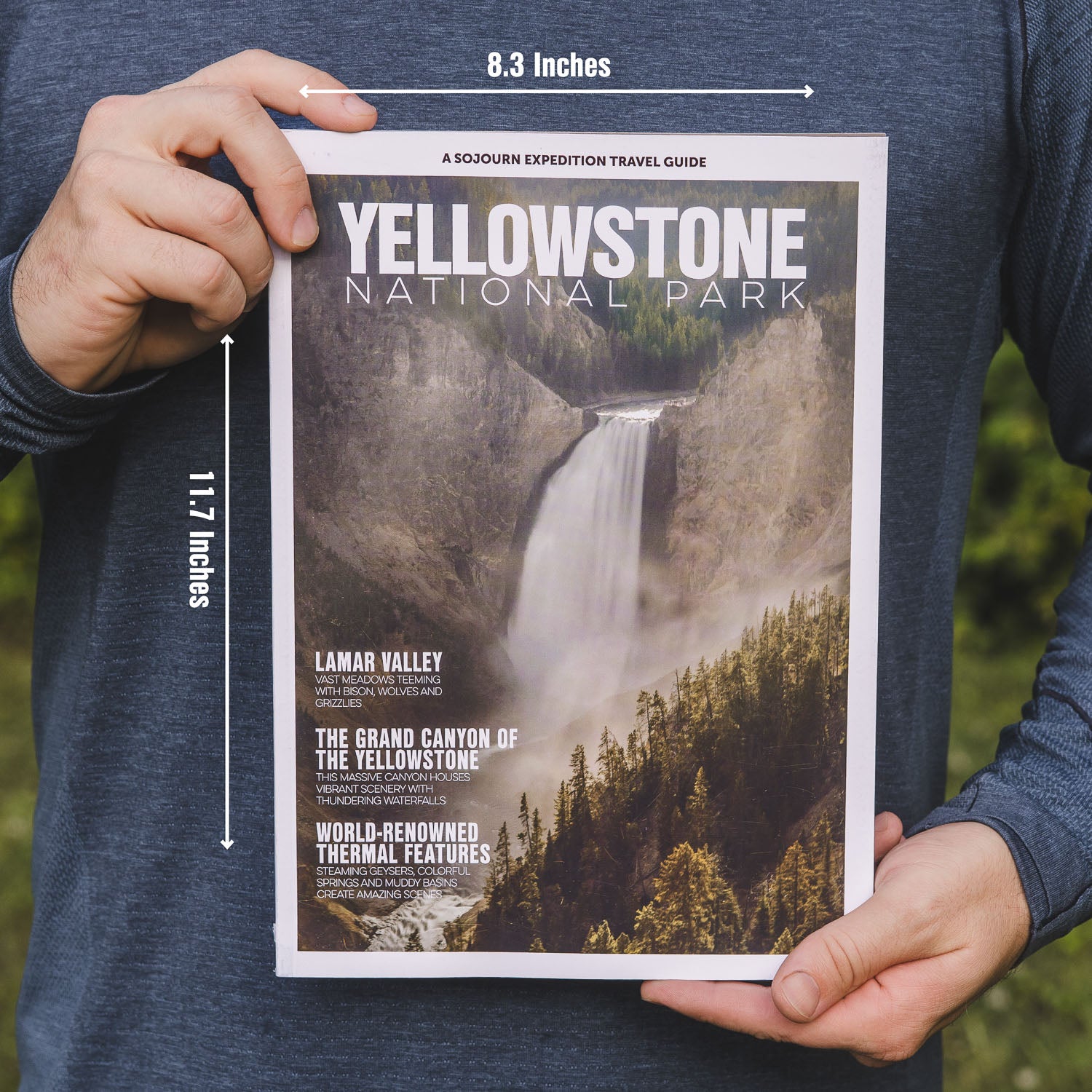 Yellowstone National Park Travel Guide