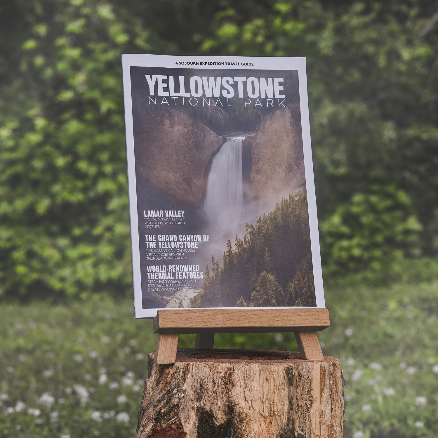 Yellowstone National Park Travel Guide