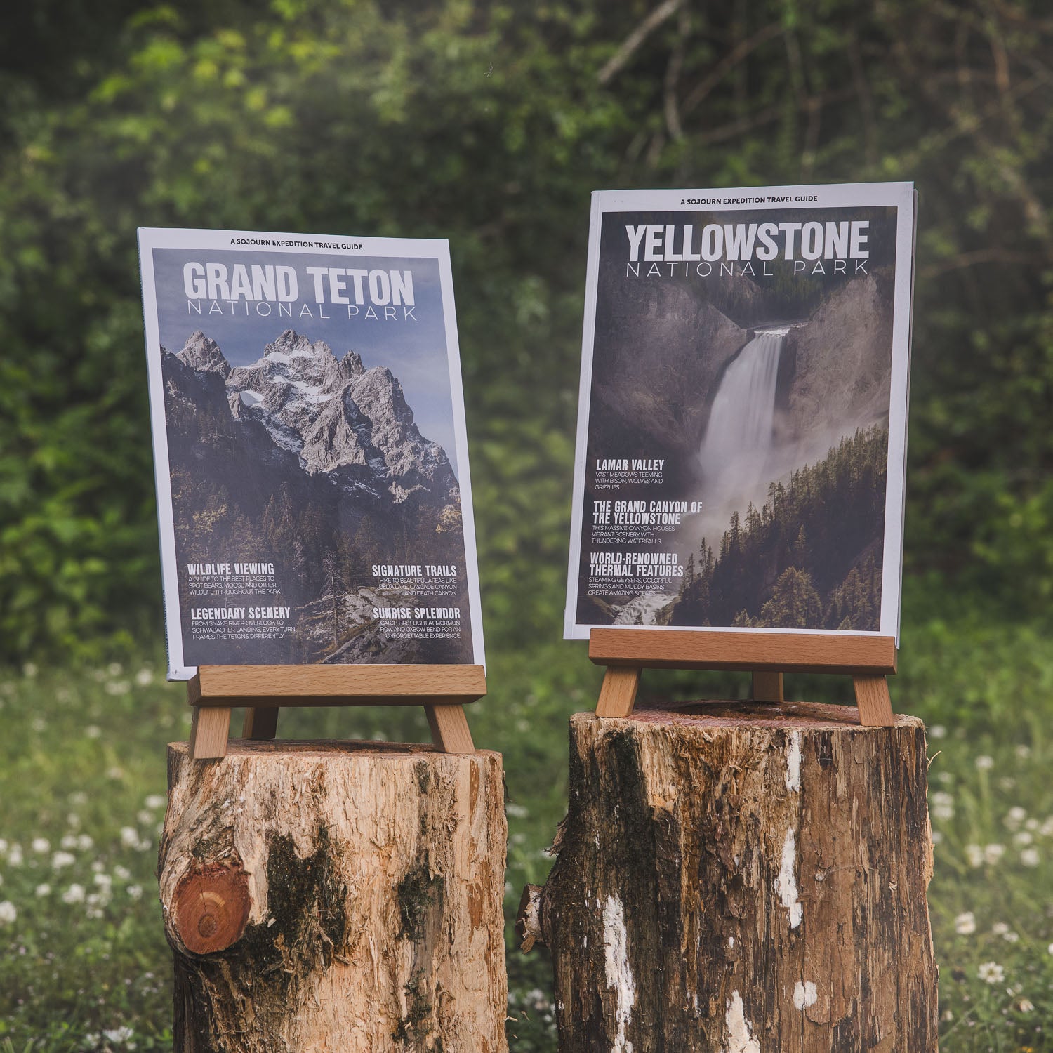 Yellowstone and Grand Teton Bundle