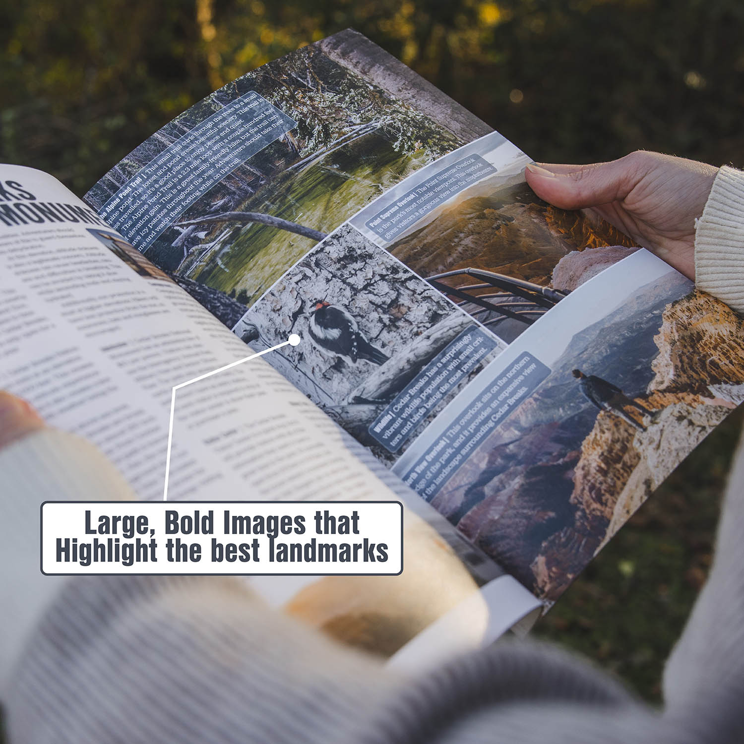 Zion National Park Travel Guide